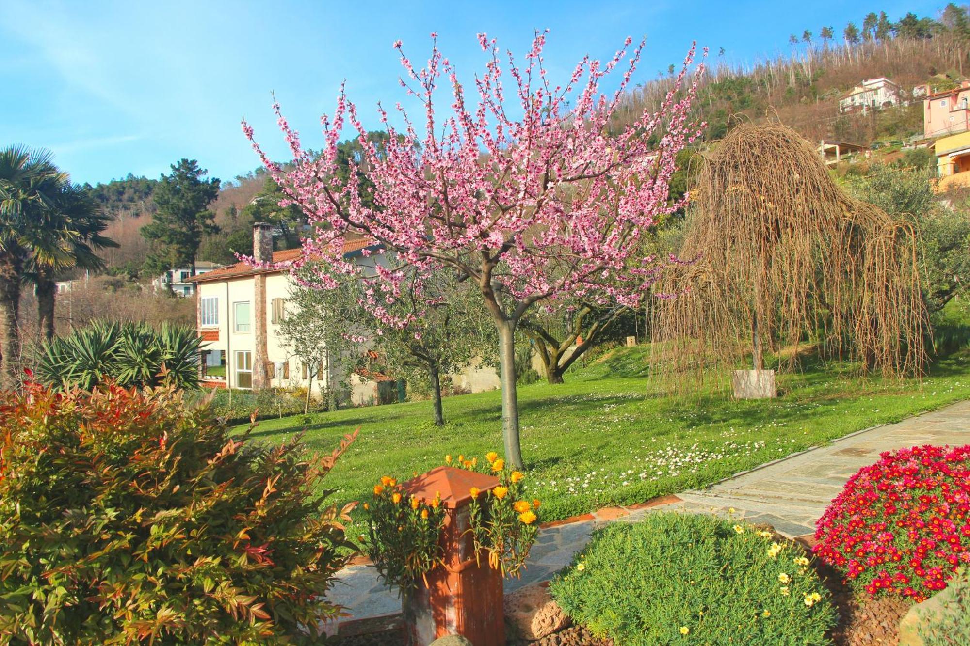 Casa Vacanze Ester Polverara Exteriér fotografie